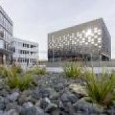 Schwan Stabilo Referenzbild1 ambiente und object
